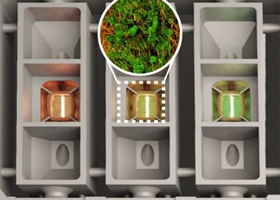  Abbildung einer mikrofluidische Chip-Plattform für organotypische Zellkulturen