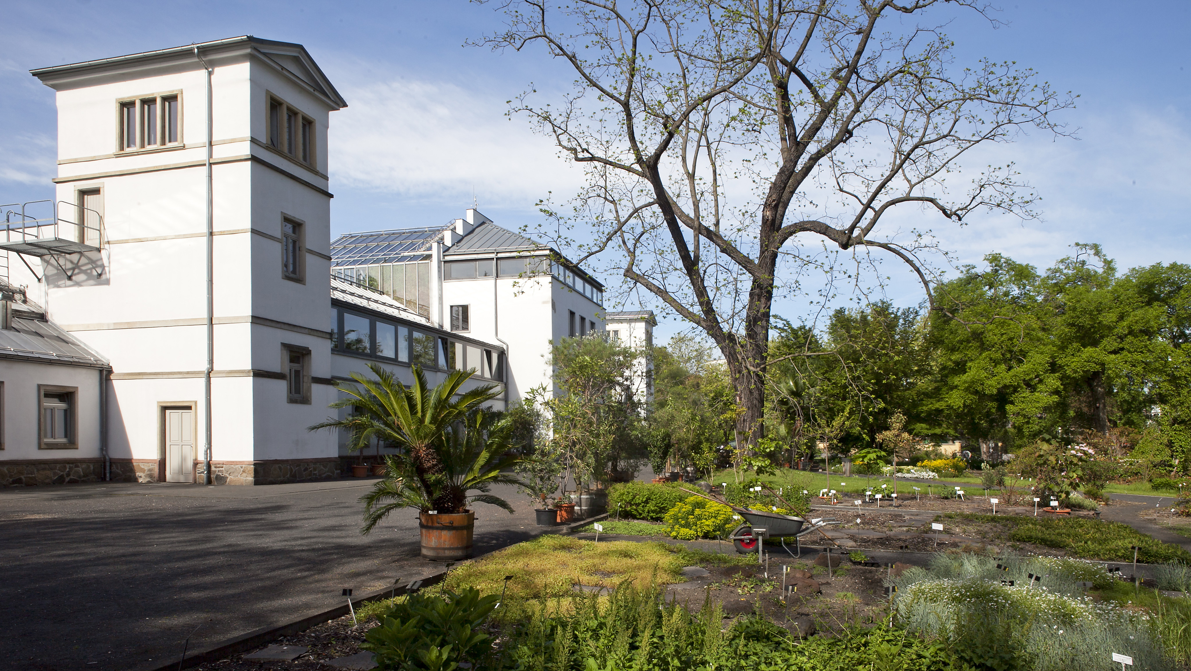 Universitat Leipzig Botanical Garden