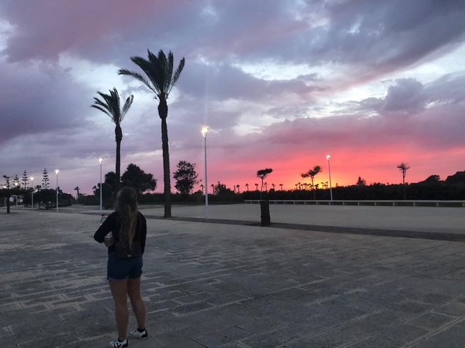 Sonnenuntergang in Andalusien. Im Hintergrund sind Palmen zu sehen. Eine Person steht mit dem Rücken zur Kamera.