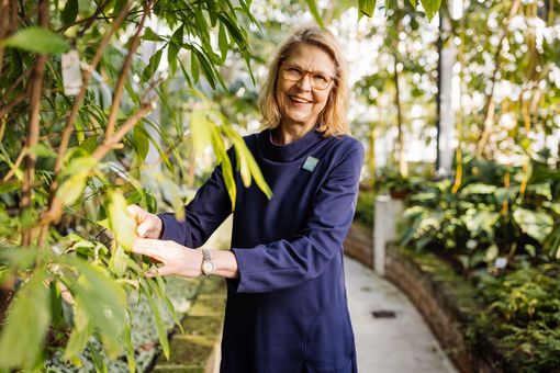 Das Bild zeigt Kanzlerin Birgit Dräger an einem ihrer Lieblingsplätze an der Universität - im Gewächshaus des Botanischen Gartens. 