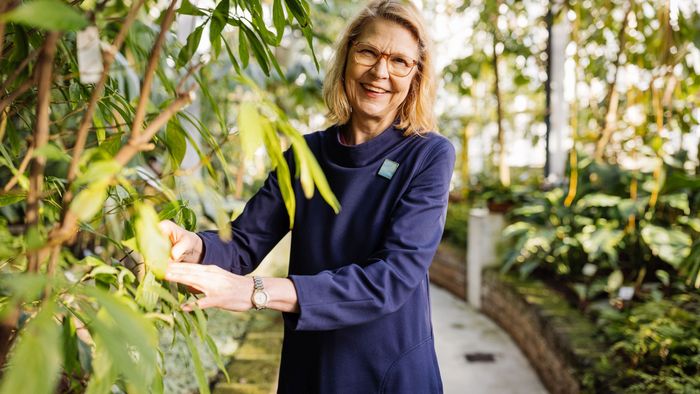 Das Bild zeigt Kanzlerin Birgit Dräger an einem ihrer Lieblingsplätze an der Universität - im Gewächshaus des Botanischen Gartens. 