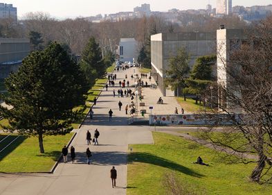 Der erste von zwei Arqus Research & Innovation Bridging Workshops wird im März an der Universität Lyon 1 stattfinden. Foto: Arqus Blick von oben auf Lyon.