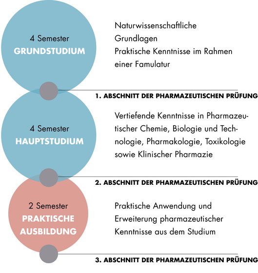 Diese Grafik zeigt den Aufbau des Staatsexamens Pharmazie. Der Aufbau ist auch im Textteil beschrieben.