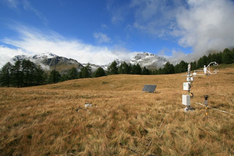 Der Versuchsstandort in Torgnon (Italien), ein Grasland auf etwa 2.100 Metern Höhe in den westlichen italienischen Alpen..