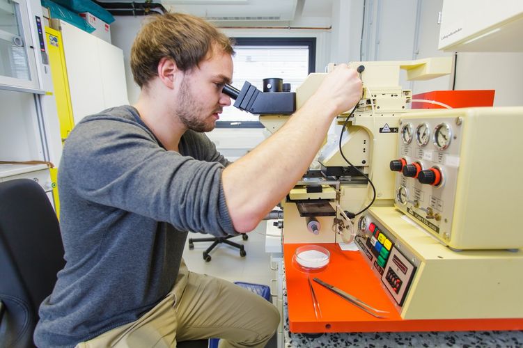 Student looks into a microscope