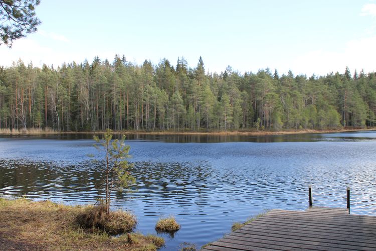 Ein See bildet den Mittelpunkt des Bildes. Im rechten Bildrand befindet sich ein Holzsteg. Im Hintergrund wird der See durch Bäume gesäumt.