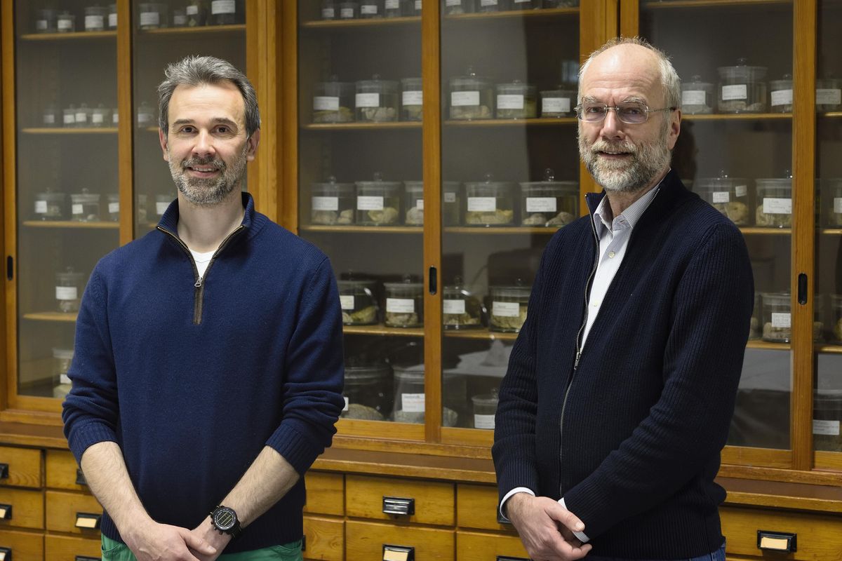 zur Vergrößerungsansicht des Bildes: Transferpreisträger Prof. Dr. Thomas Arendt und Dr. Jens Stieler, Foto: Linus Stieler