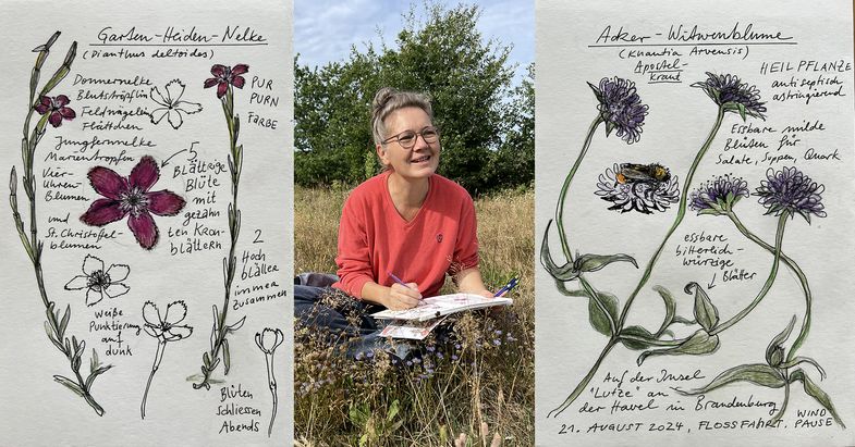 Nature Journaling Workshops mit Yvonne Buchheim im Botanischen Garten