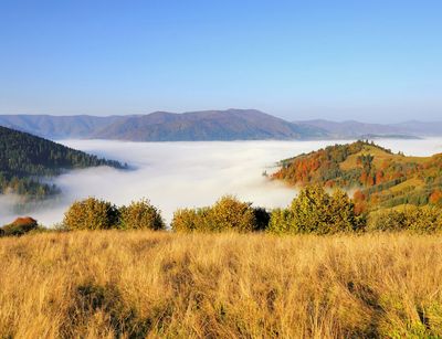 Blick über Berge und Wälder in den Wolken