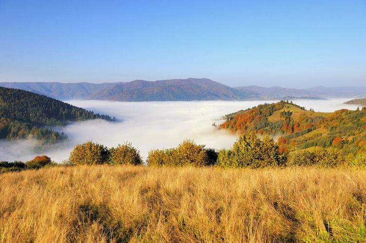 Blick über Berge und Wälder in den Wolken