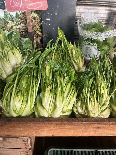 Farbfoto: Nahaufnahme grüner Salatköpfe 