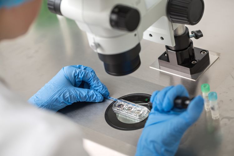 In der aktuellen Studie kam ein breites Spektrum an wissenschaftlichen Methoden zum Einsatz.