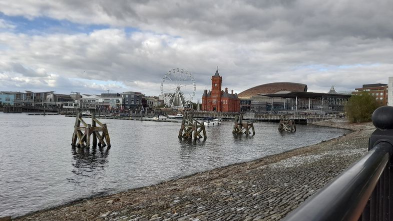Blick in die Cardiff Bay, in dessen Hafen sich Schiffe befinden, im Hintergrund ein Riesenrad und historische Gebäude.