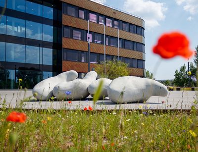 Der Neubau des iDiv-Forschungszentrums in der Puschstraße 4 in Leipzig. Foto: Stefan Bernhardt / iDiv