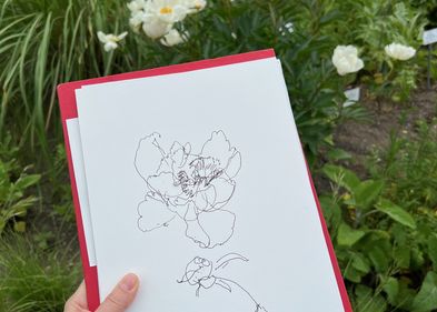 Workshop "Zeichnen im Botanischen Garten"