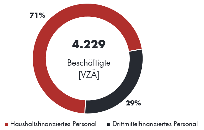 enlarge the image: Kreisdiagramm: von 4229 Vollzeitarbeitskräften sind 71 Prozent über den Haushalt der Hochschule finanziert und 29 Prozent werden durch Drittmittel finanziert.