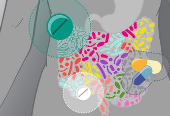 Grafik der inneren Organe im Bauchraum mit Darm und Medikamenten