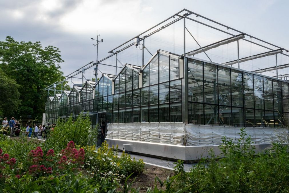 zur Vergrößerungsansicht des Bildes: iDiv-Forschungsgewächshaus im Botanischen Garten der Universität Leipzig