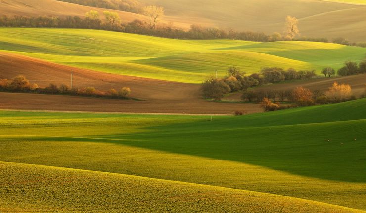 Farbfoto einer Felderlandschaft