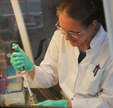 Auf diesen Foto ist Birgit Oelzner, eine der Mitarbeiterinnen der Core Unit DNA Technologien, zu sehen, Foto: Birgit Oelzner/ Core Unit DNA