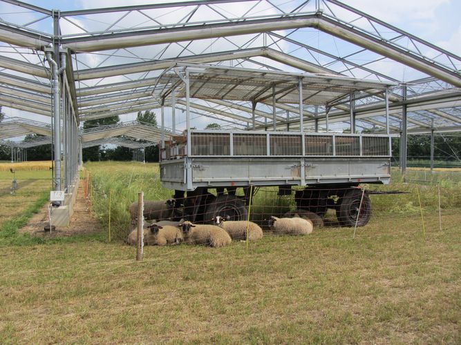 Die Studie wurde in der Global Change Experimental Facility (GCEF) durchgef&uuml;hrt. Die Anlage erm&ouml;glicht den Vergleich zwischen aktuellem Klima und einem m&ouml;glichen zuk&uuml;nftigen Klima mit anderer Niederschlagsverteilung