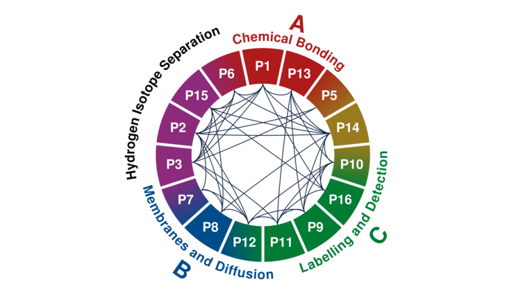 Pie chart showing ¹²³H’s 15 research projects