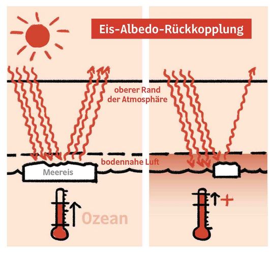 Grafik des ersten Fact Sheets zur Eis-Albedo-Rückkopplung: Abhängig von der Beschaffenheit der Erdoberfläche wird entweder wenig oder viel Sonnenstrahlung zurück ins All reflektiert. Den Anteil der einfallenden Sonnenstrahlung, der von einer Oberfläche zurück reflektiert wird, bezeichnet man als Albedo (Rückstrahlvermögen).