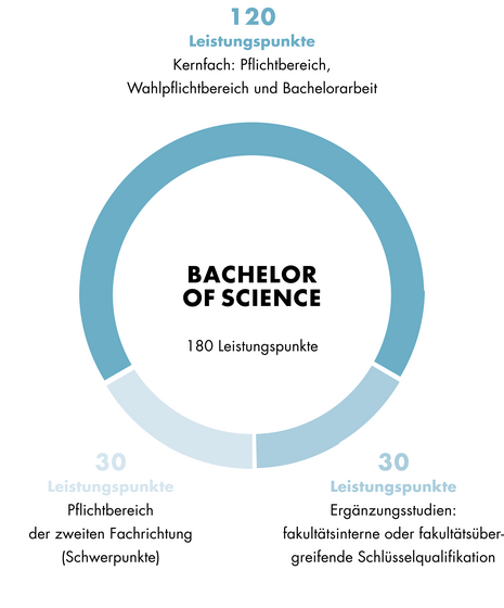 Diese Grafik zeigt den Aufbau des Bachelor of Science Wirtschaftspädagogik. Der Aufbau ist auch im Textteil beschrieben.