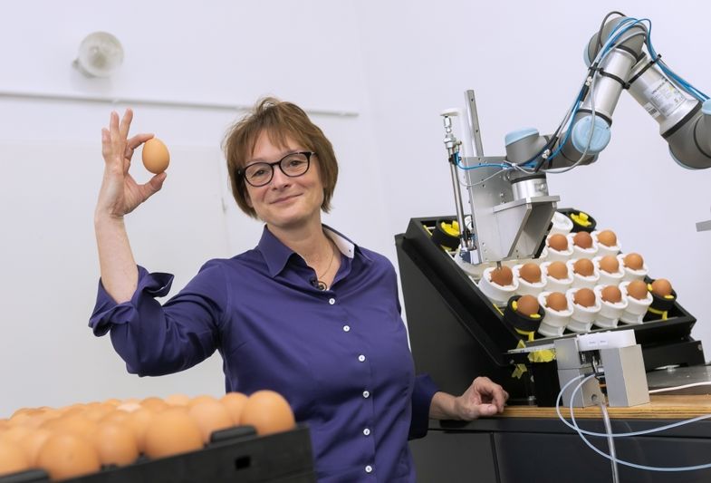 Endokrinologin Prof. Dr. Almuth Einspanier forscht an der Bestimmung des Geschlechts von Hühnern im Ei.