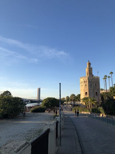 Farbfoto: Aufnahme eines Turms umgeben von Palmen. Dahinter befindet sich ein Hochhaus