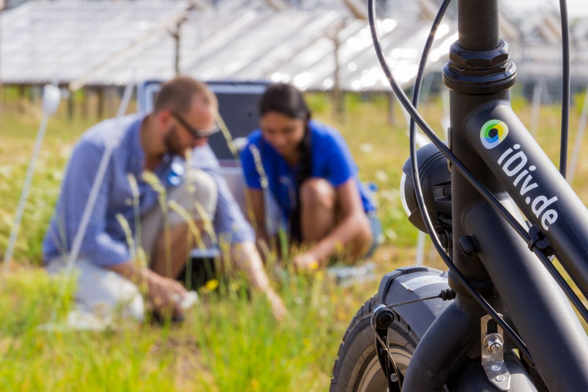 zur Vergrößerungsansicht des Bildes: Zwei Forscher sitzen auf der Wiese und betrachten einen Laptop. Im Vordergrund ist ein Fahrrad mit iDiv-Logo zu sehen.