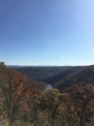 Abgebildet ist der Ausblick von Sandsteinfelsen auf einen Wald. 