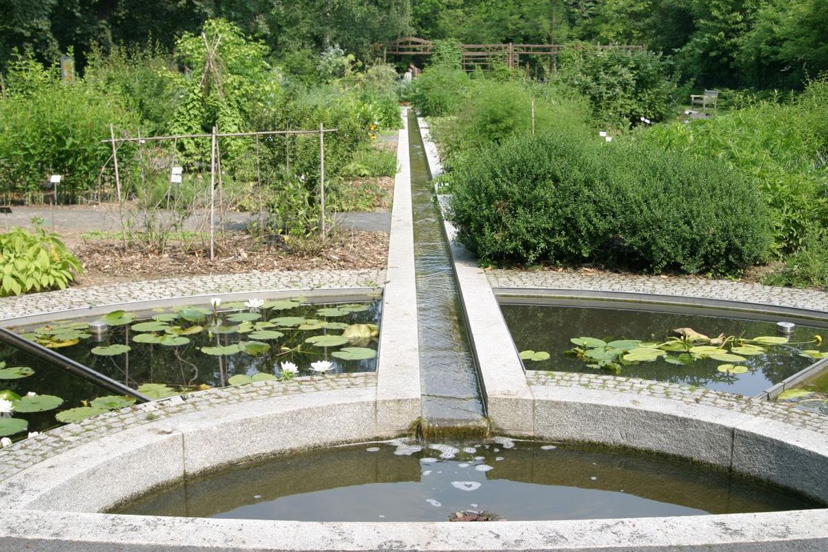 enlarge the image: Medicinal herb garden in the Friedenspark. Photo: Kornelia Tröschel