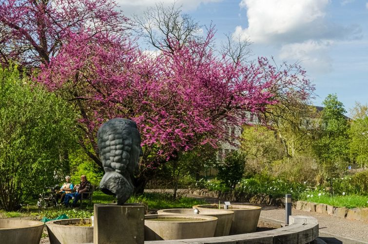 Das Außengelände des Botanischen Gartens kann wieder besucht werden.