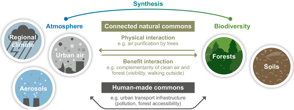 enlarge the image: Coloured graphic showing the connections of connected natural commons