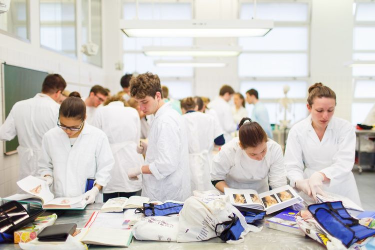 Studierende im "Präp-Kurs" - hier lernen Studierende das Präparieren, Foto: Christian Hüller