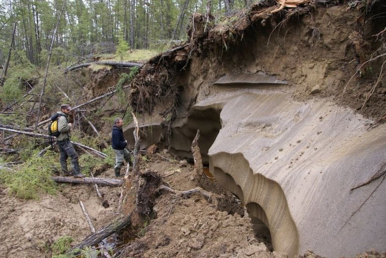 Durch starke Tau- und Erosionsprozesse freigelegte Permafrostablagerungen nahe der Siedlung Tabaga in Zentraljakutien.