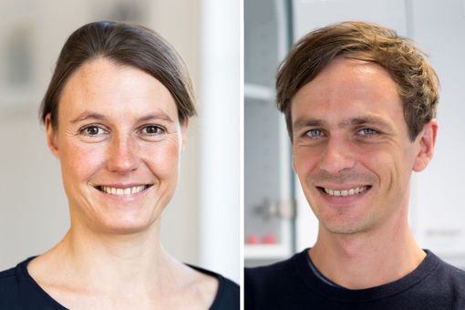 Prof. Dr. Ruth Stassart und Dr. Robert Fledrich leiten jeder eine Leipziger Arbeitsgruppe im Forschungsverbund LINC