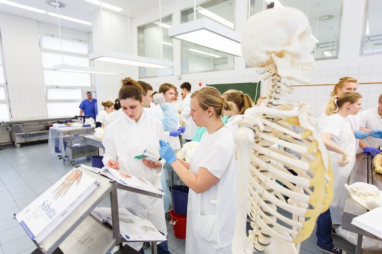 Studierende im "Präp-Kurs" - hier lernen Studierende das Präparieren, Foto: Christian Hüller