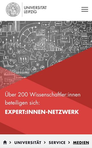 Bildschirmfoto der Startseite des Expert:innen-Netzwerks