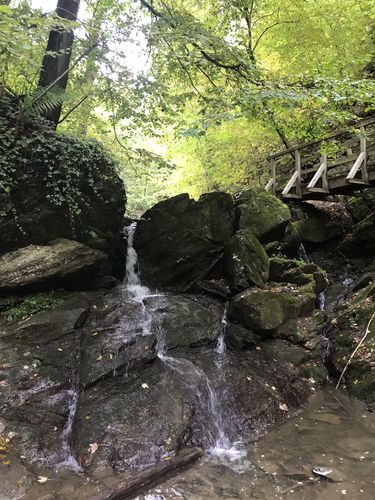 Das Bild zeigt die Rettenbachklamm. Man sieht große Felsen und einen kleinen Bach, der durch sie hindurchfließt.