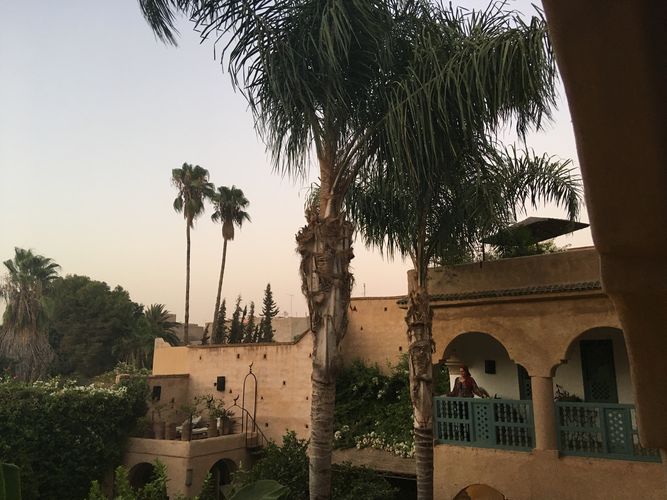 Hier sieht man Palmen und ein marokkanisches Haus in der Stadt Taroudant.