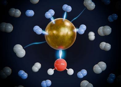 Künstlerische Darstellung der bevorzugten Bindung von schwerem Wasserstoff (blau) gegenüber leichtem Wasserstoff (weiß) am durch Bindung eines Wassermoleküls (Sauerstoff rot, Wasserstoff weiß) aktivierten Metallzentrum. Künstlerische Darstellung der bevorzugten Bindung von schwerem Wasserstoff (blau) gegenüber leichtem Wasserstoff (weiß) am durch Bindung eines Wassermoleküls (Sauerstoff rot, Wasserstoff weiß) aktivierten Metallzentrum.