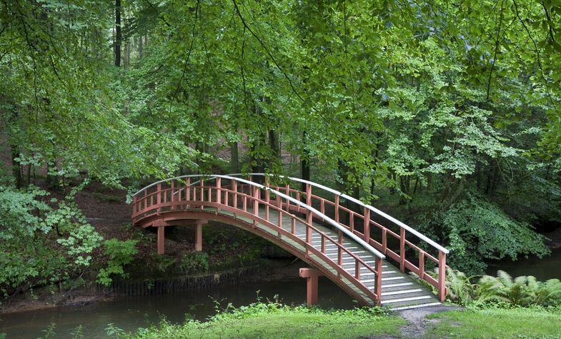 Zu sehen ist eine Holzbrücke, die über einen Bach in einem Wald führt.