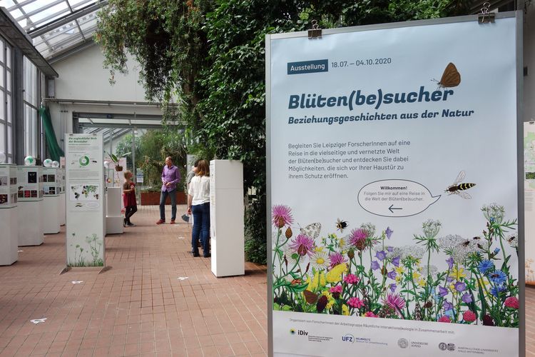Die Ausstellung "Blüten(be)sucher" beleuchtet Beziehungsgeschichten aus der Natur.