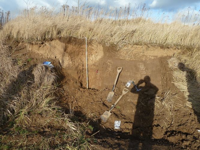 Overbank silt-clay deposition from the Weiße Elster flood plain near Pegau. Overbank silt-clays consist of redeposited soils that were eroded in the river’s catchment.