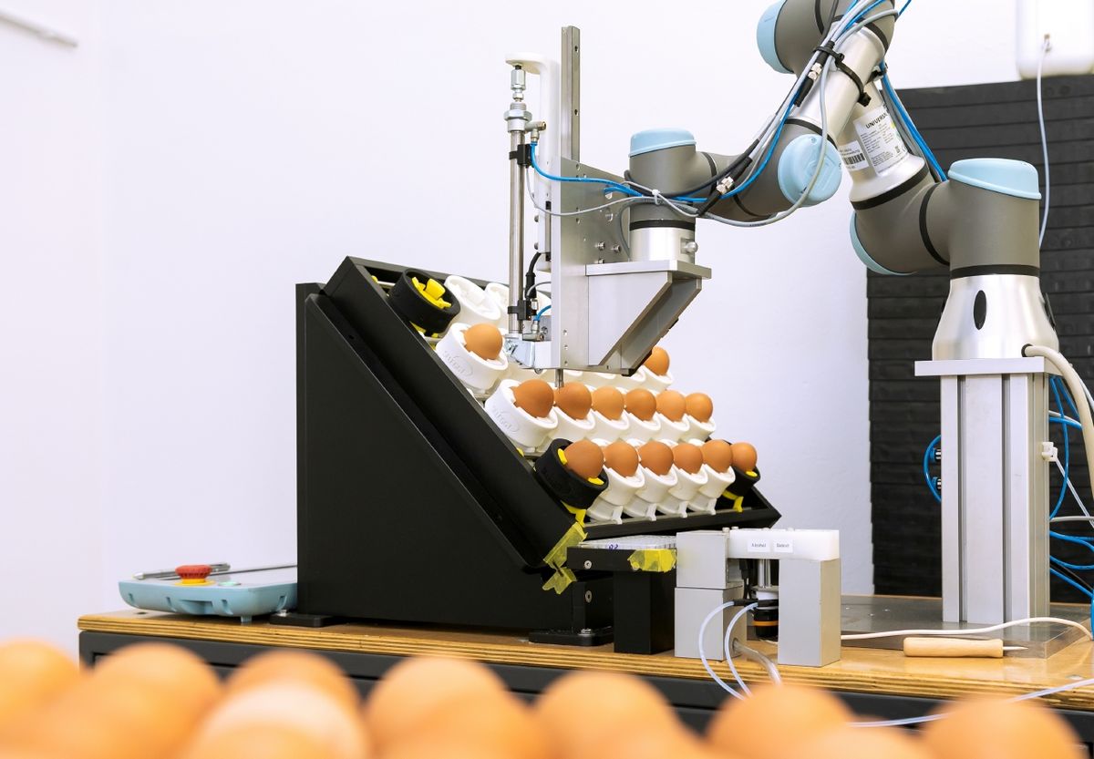 zur Vergrößerungsansicht des Bildes: Prototyp zur Bestimmung des Geschlechts von Hühnern im Ei, Foto: Swen Reichhold