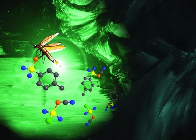 Coverbild von Chemical Science: Das Glühwürmchen, das die Klasse der Phosphole repräsentiert, verstärkt sein Leuchten durch die Modifizierung. Coverbild von Chemical Science: Das Glühwürmchen, das die Klasse der Phosphole repräsentiert, verstärkt sein Leuchten durch die Modifizierung.