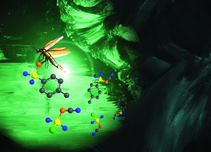 Cover picture of Chemical Science. The glow of the glow-worm, which represents the class of phospholes, grows more intense as a result of modification. Drawing: Dr Christoph Selg.