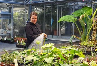 Annalena Jäkel beim Gießen im Gewächshaus des Botanischen Gartens